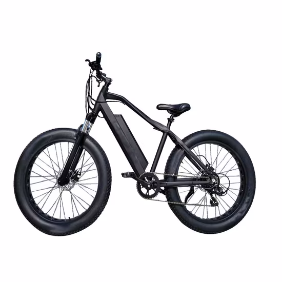 500W/750W/1000W 26 Zoll 100 Nm Shimano 7-Gang MTB 지방 타이어 Elektrisches Mountainbike Snow Cruiser E Bike