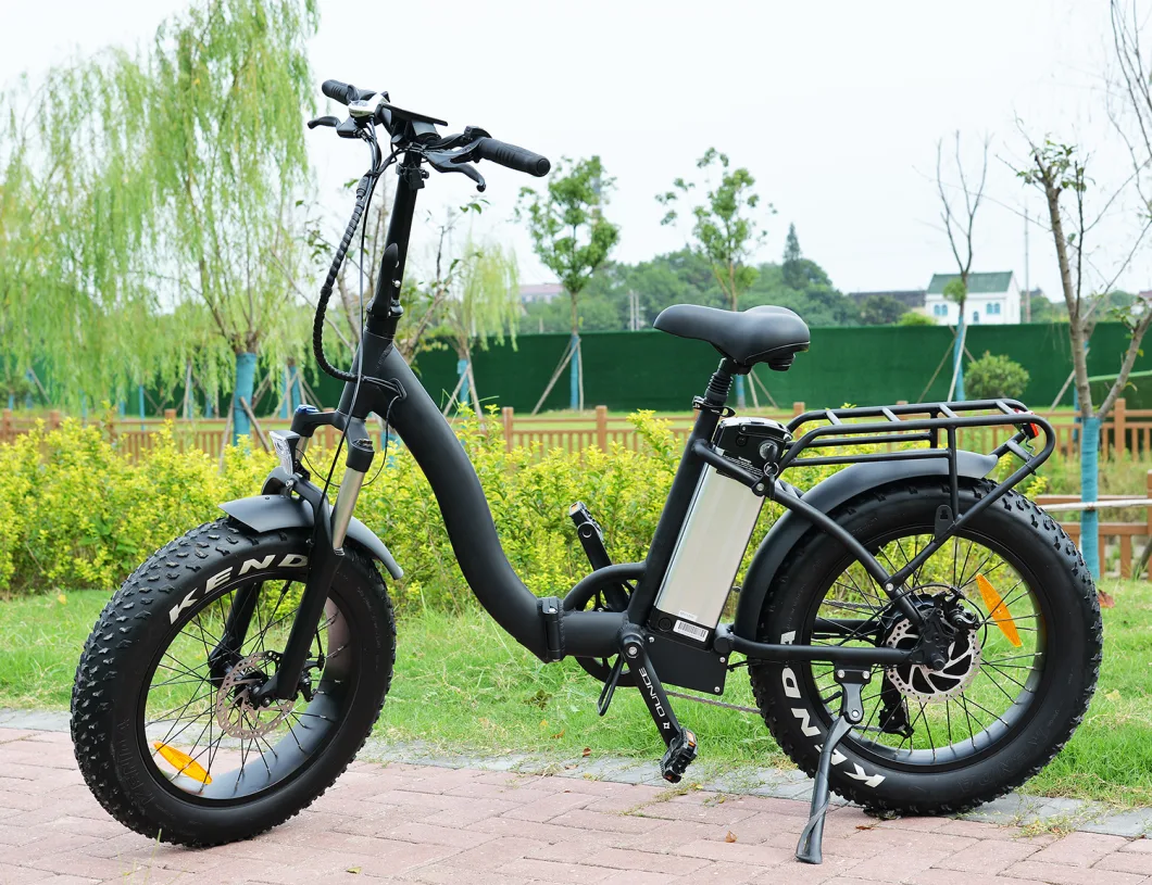 Hot Selling 20inch Mountain Fat Tire Beach Cruiser Electric Bike