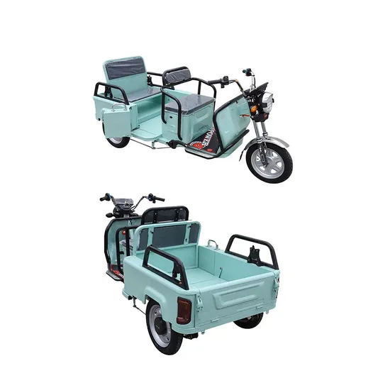 3 Wheels Electric Scooter Folding Adult Tricycle for Teenager