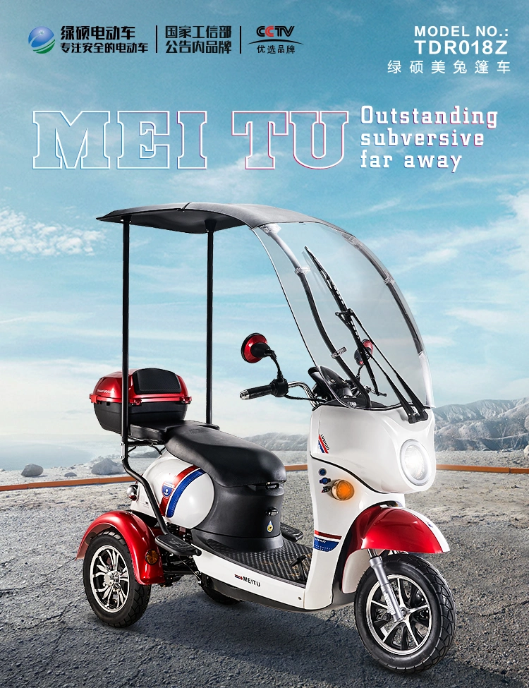 2 Batteries 48V 350W Foldable Mini 14 Inches 15.6ah 1 Second High-End Folding Easy Recumbent Two Wheels Front Ebike Electric Sri Lanka Tricycle for