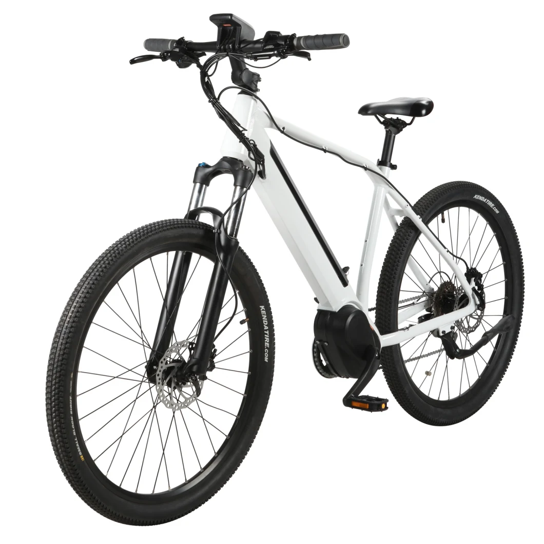 New Middle Drive 48V 26 Inch Moutain Electric Bike for Men with Good Price