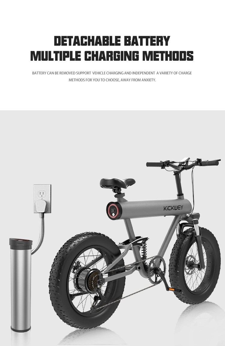 Portable Fat Tire 500W 48V Electric Moutain Bike for Adult