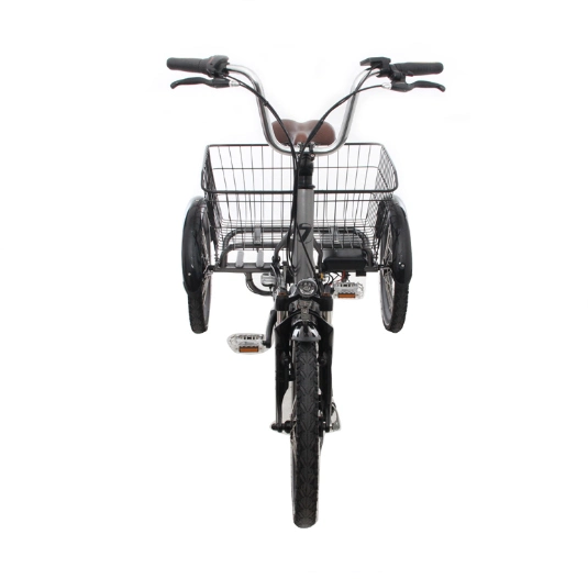 Family Used Electric Tricycle for Cargo Aluminum Foldable Frame