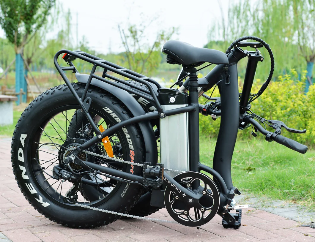 Hot Selling 20inch Mountain Fat Tire Beach Cruiser Electric Bike