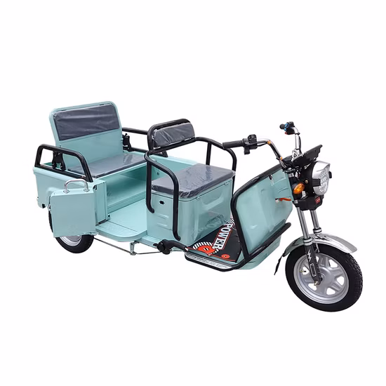 3 Wheels Electric Scooter Folding Adult Tricycle for Teenager