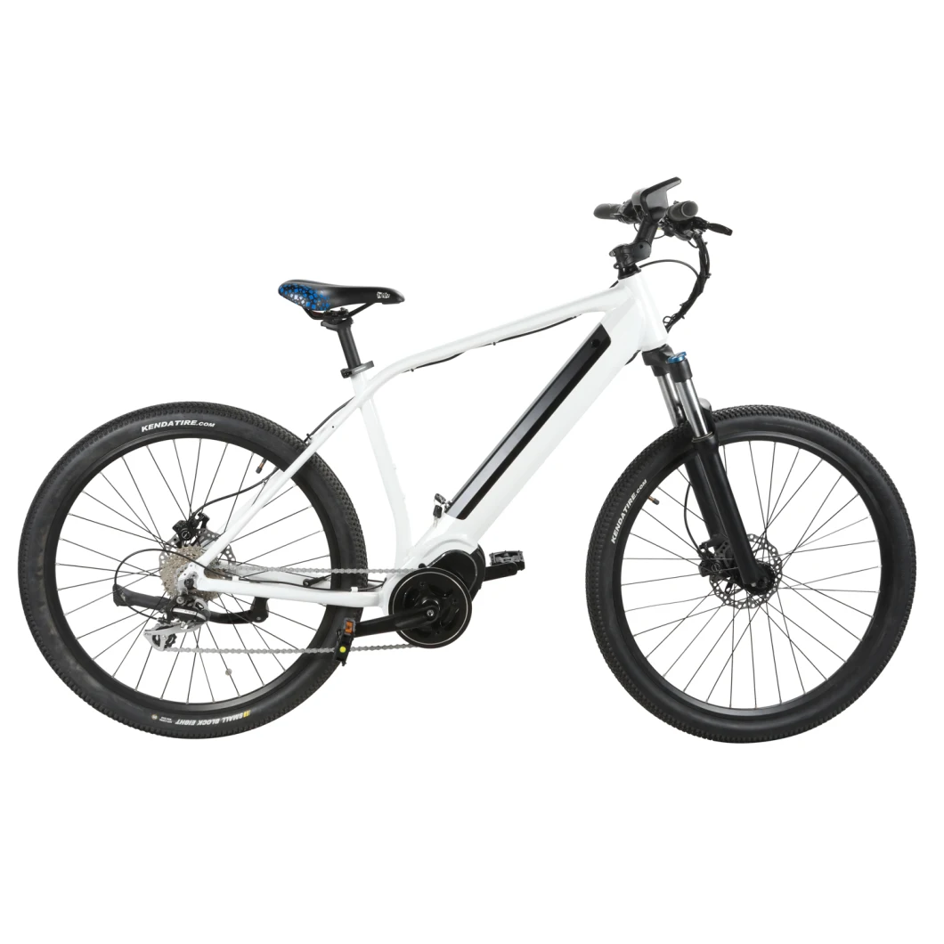 New Middle Drive 48V 26 Inch Moutain Electric Bike for Men with Good Price