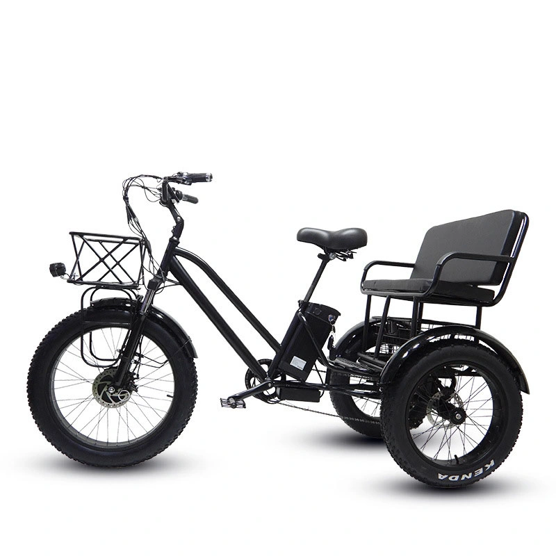 Hot Selling E-Tricycle Utility Cargo Etrike 3 Wheel Electric Tricycle Farm Using Electric Tricycles 26 Inch Fat Tire E Trike