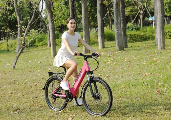 숨겨진 배터리가 포함된 36V 48V 도시 Ebike 도시 전기 자전거 성인용 26인치 E-자전거 전기 자전거 샘플 사용자 정의