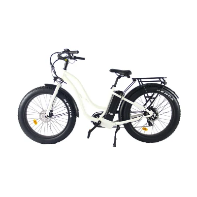 26인치 48V 500W 리튬 배터리 도시 전기 자전거 Elelctric Moutainbike 전기 자전거