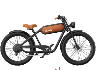 레트로 ODM 48V 500W 750W 1000W Bafang 슈퍼 파워 성인 비치 크루저 지방 타이어 Elektrofahrrad 전자 자전거