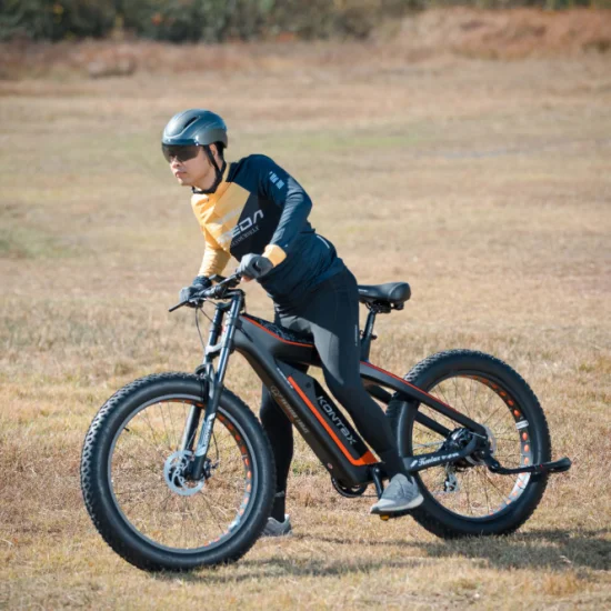 탄소 섬유 프레임 먼지 크루저 스노우 전기 지방 Ebike Bicicleta