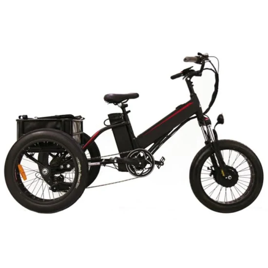 2021 Popualr Fat Tire E Trike 전기 세발자전거, 전기 세발자전거, Cargoztr Trike, 전기 세발자전거, 성인용 전기 세발자전거, 전기 걸레