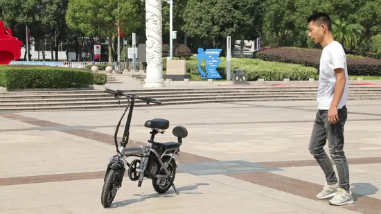 뜨거운 판매 20인치 산악 지방 타이어 비치 크루저 전기 자전거